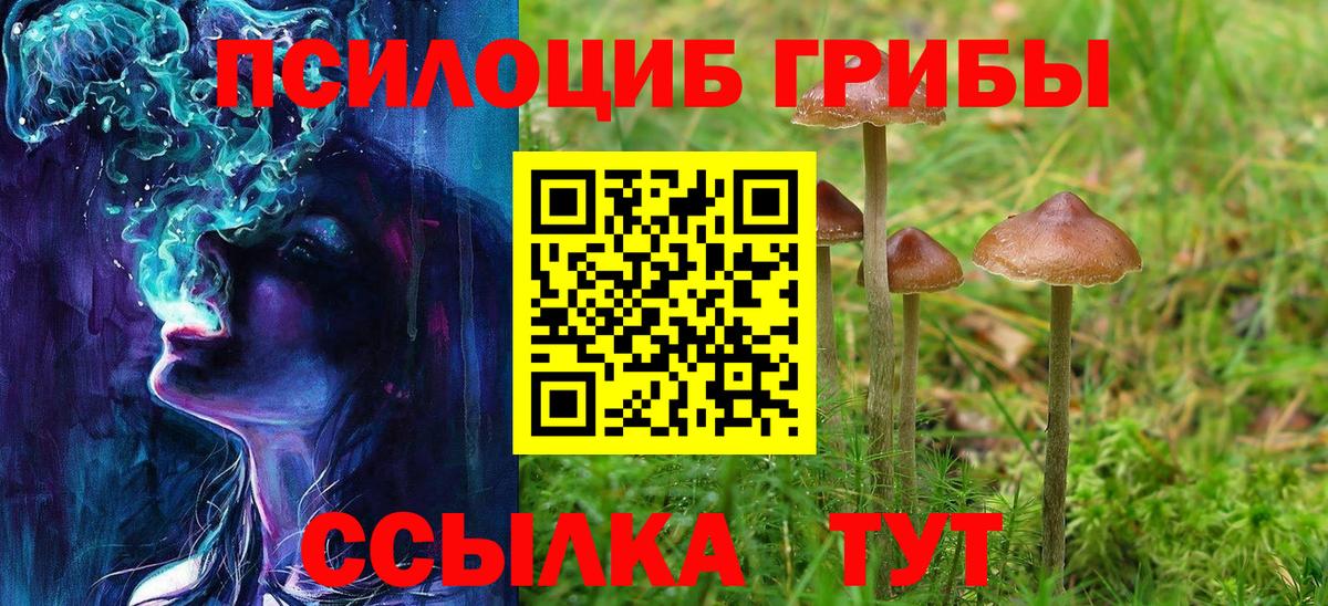 Псилоцибиновые грибы ЛСД  Вход с VPN  Екатеринбург  Псилоцибиновые грибы мицелий 